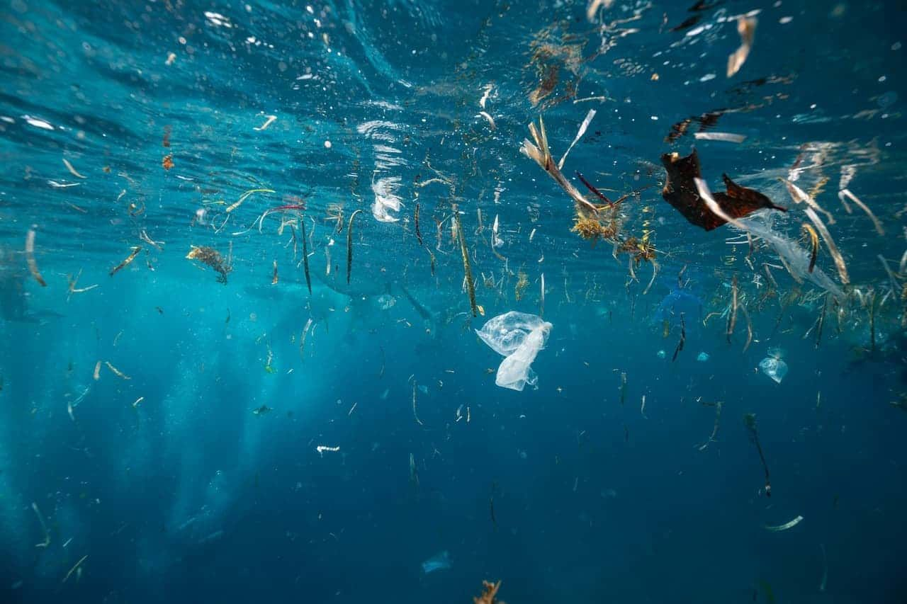 5 Tips to reduce plastic waste as a business