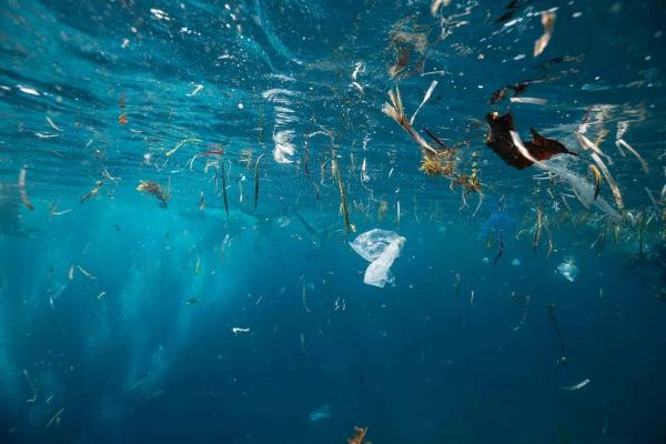 5 Tips to reduce plastic waste as a business