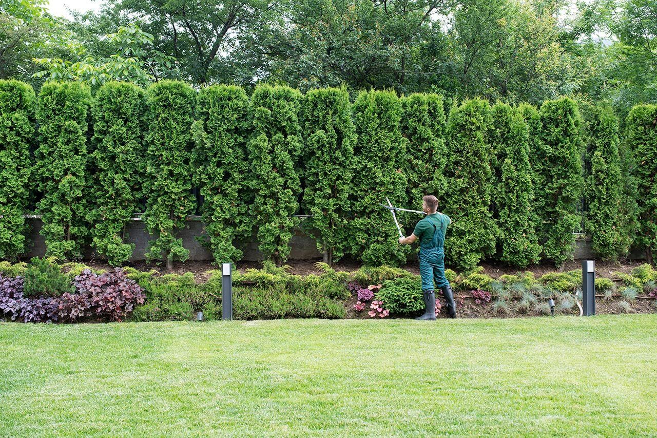 Gardener insurance